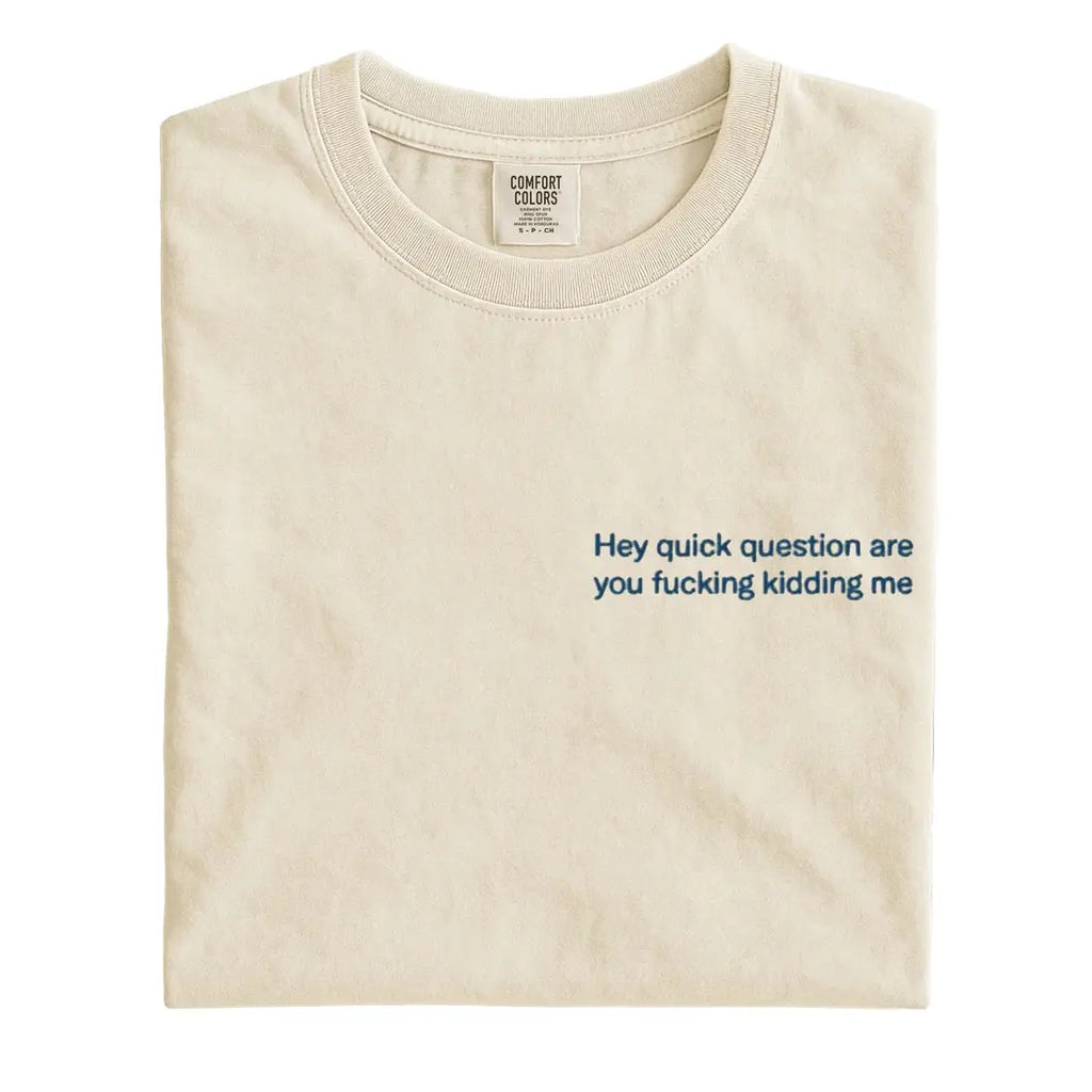 "Hey Quick Question Are You Kidding Me" Embroidered T-Shirt/Sweatshirt/Hoodie – Funny Unisex Shirt