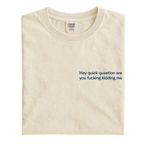 "Hey Quick Question Are You Kidding Me" Embroidered T-Shirt/Sweatshirt/Hoodie – Funny Unisex Shirt