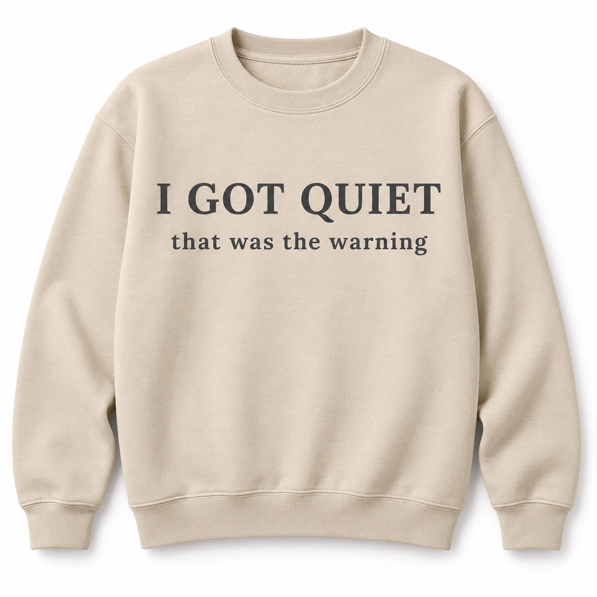 I Got Quiet That Was the Warning Shirt/Sweatshirt/Hoodie – Vintage Washed Sarcastic Graphic Tee
