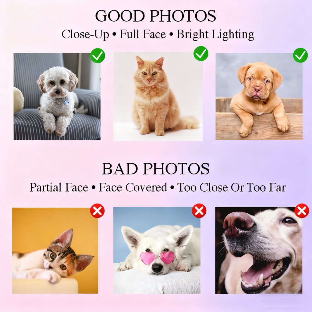 Personalized Embroidered Sweatshirt with Pet Portraits and Names